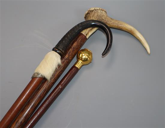 Two horn / antler canes and a swagger stick